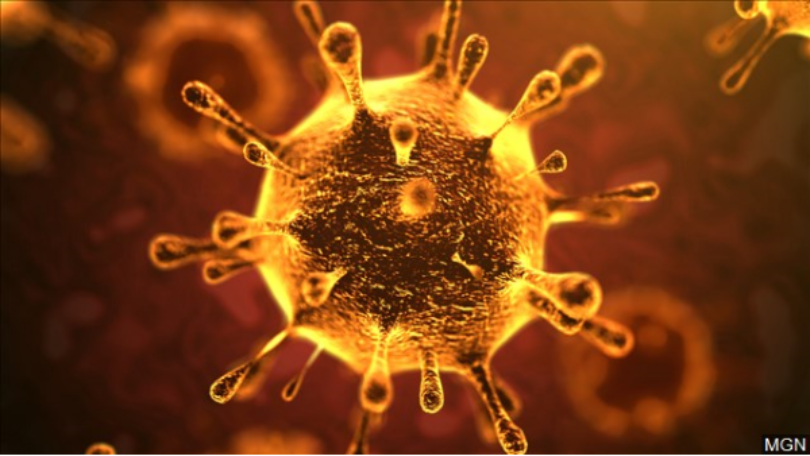 coronavirus+for+web1