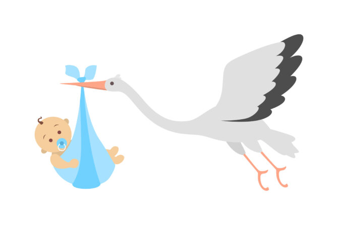 White stork flying with newborn baby. Child birth announcement. Greeting card